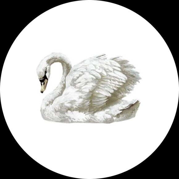 gscloset088